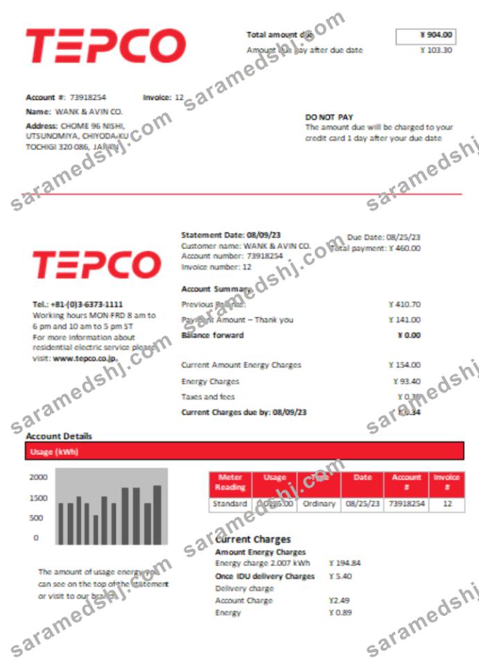 Tokyo Electric Power Company (TEPCO) electricity utility business bill,  SCR